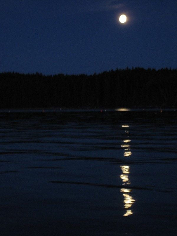 Port Clyde Kayaks Full Moon Paddle Muscongus Bay